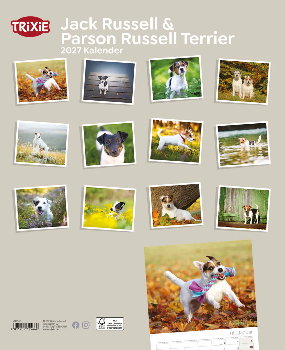 Kalender Jack Russell & Parson Russell Terrier - Image 2