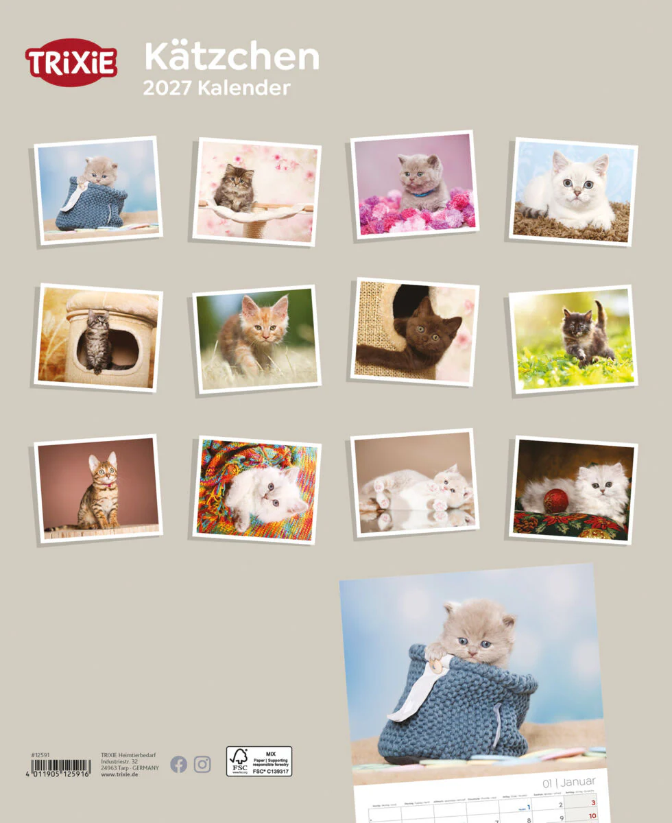 Kalender Kätzchen - Image 2