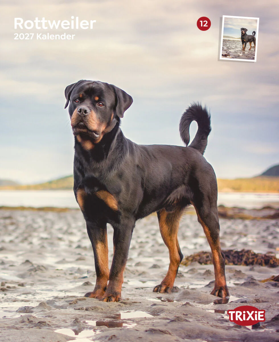 Kalender Rottweiler