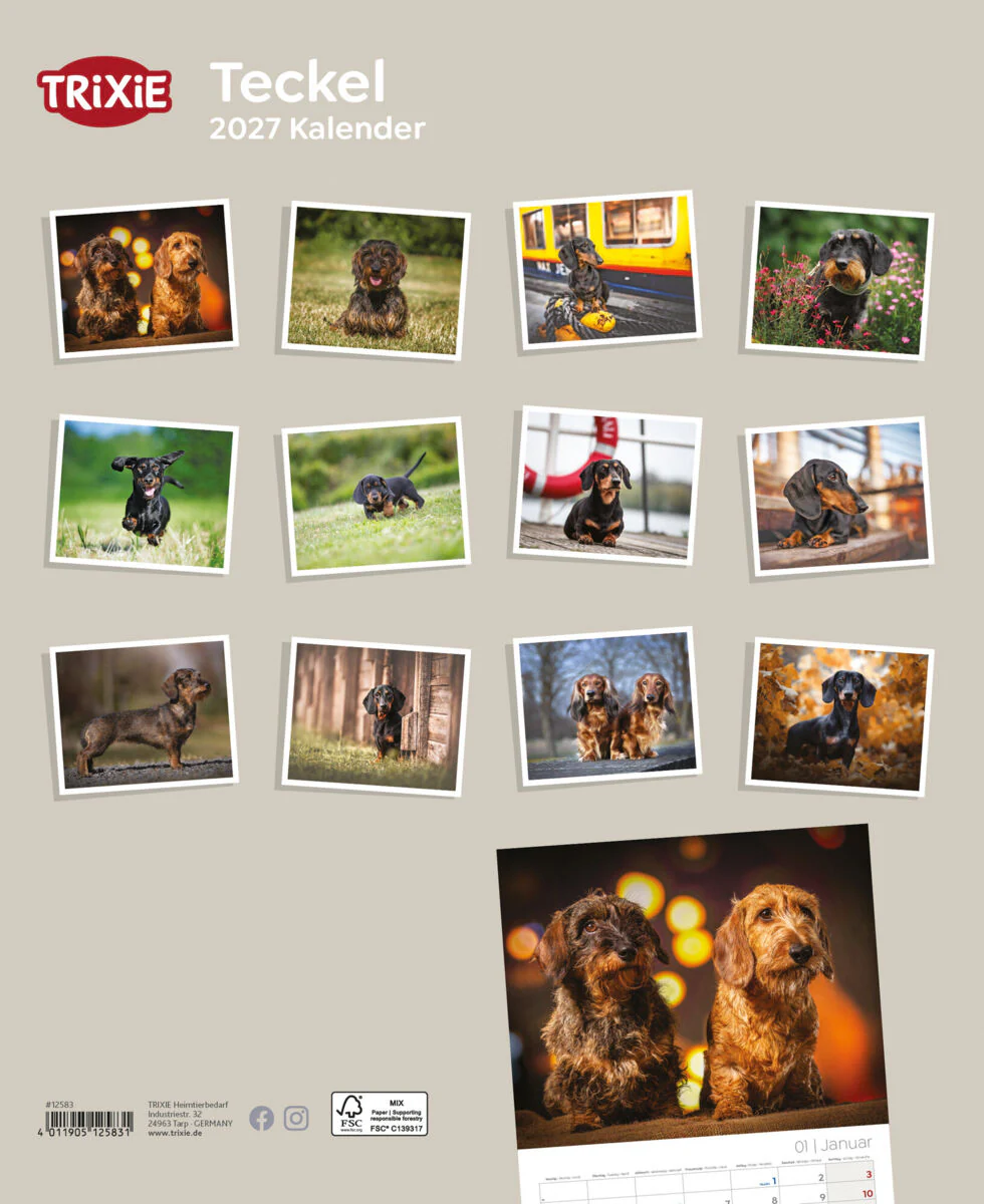 Kalender Teckel - Image 2