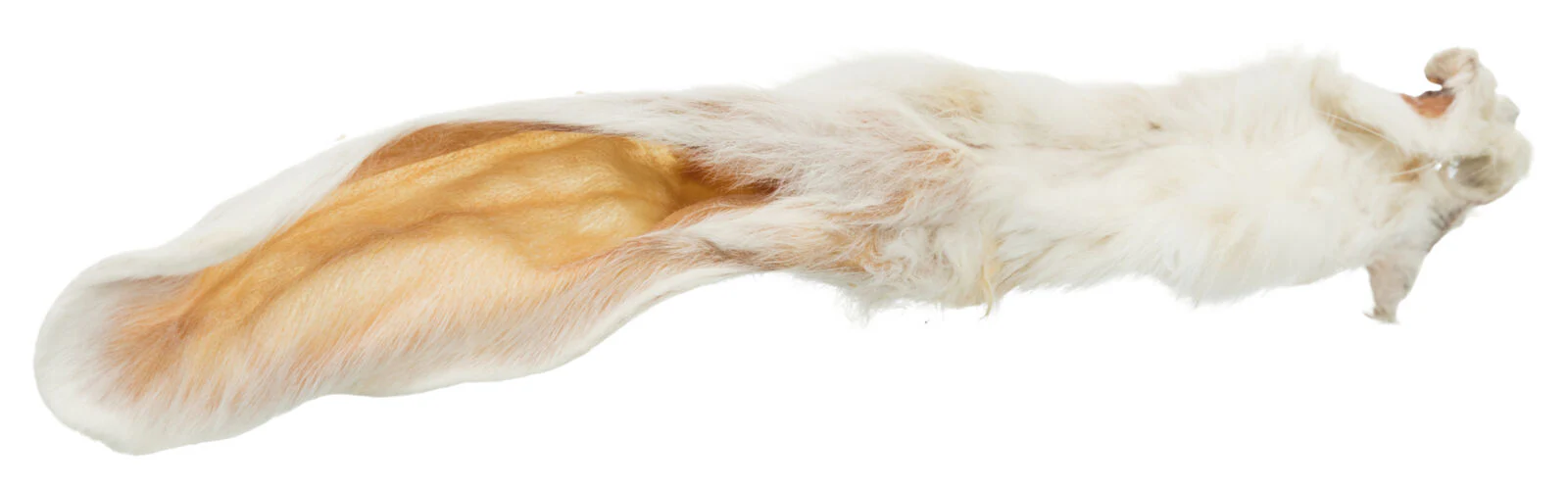Kausnack Kaninchenohren mit Fell für Hunde - Image 6
