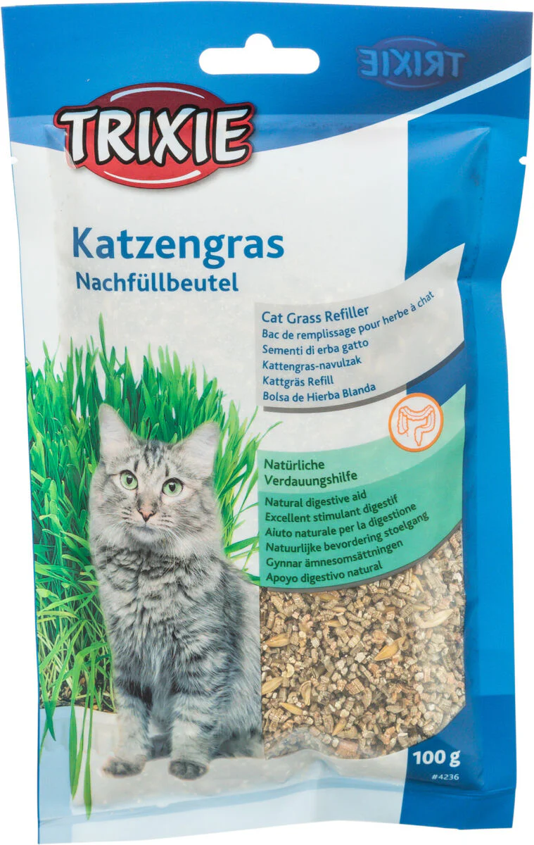Katzengras - Image 4