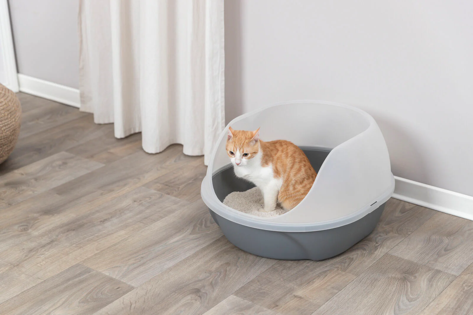 Katzentoilette Simao - Image 5