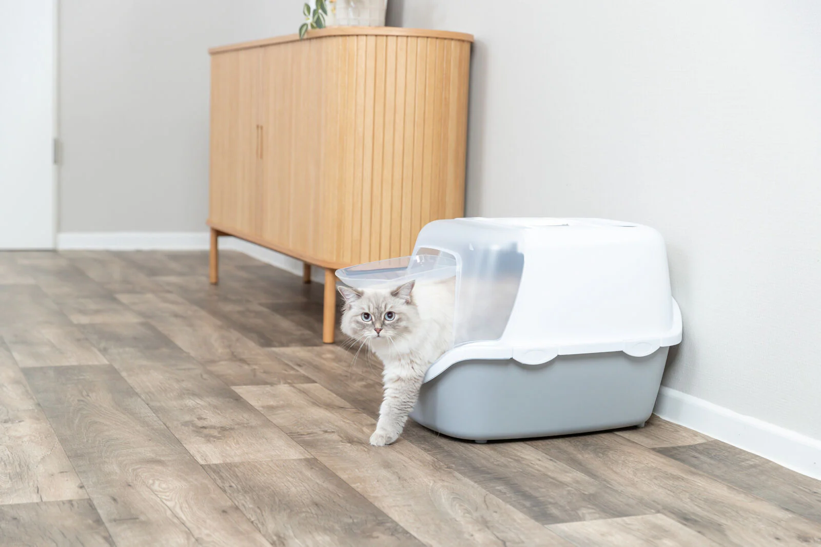 Katzentoilette Vico Open Top, mit Haube - Image 10