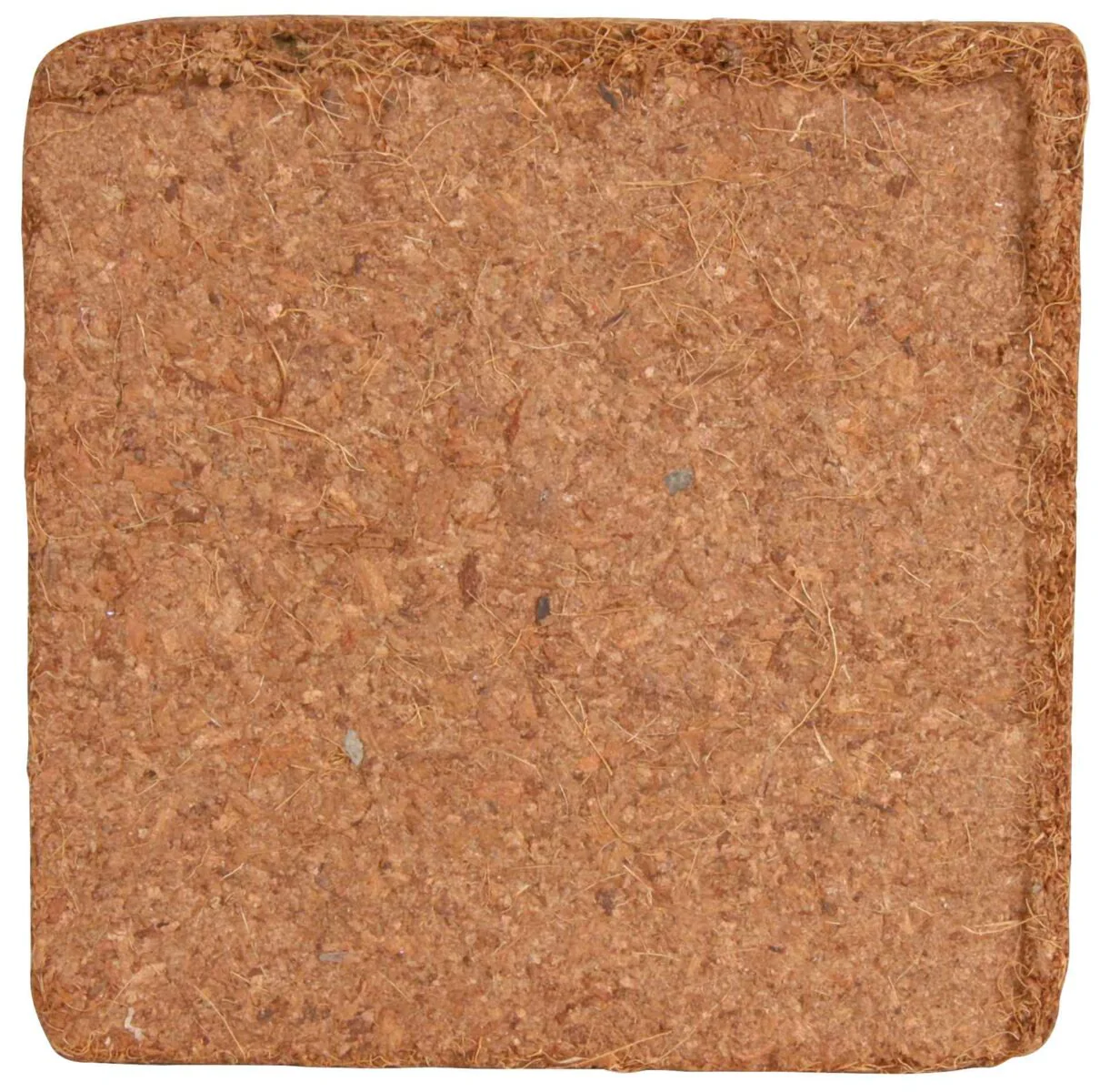 Kokosfaserhumus - Image 2