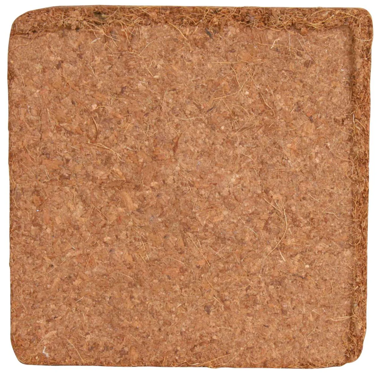 Kokosfaserhumus - Image 8