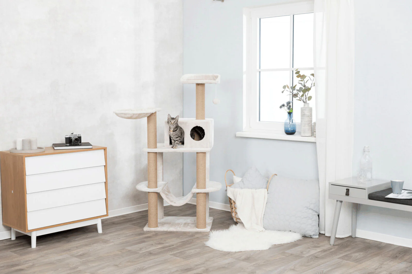 Kratzbaum Federico - Image 3