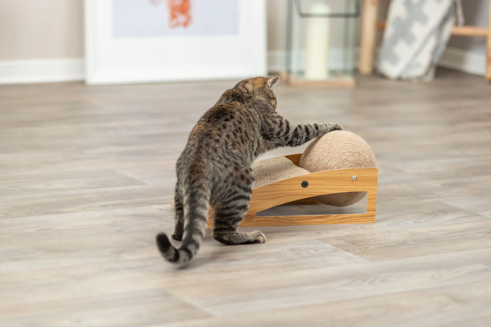 Kratzrampe mit Ball - Image 4