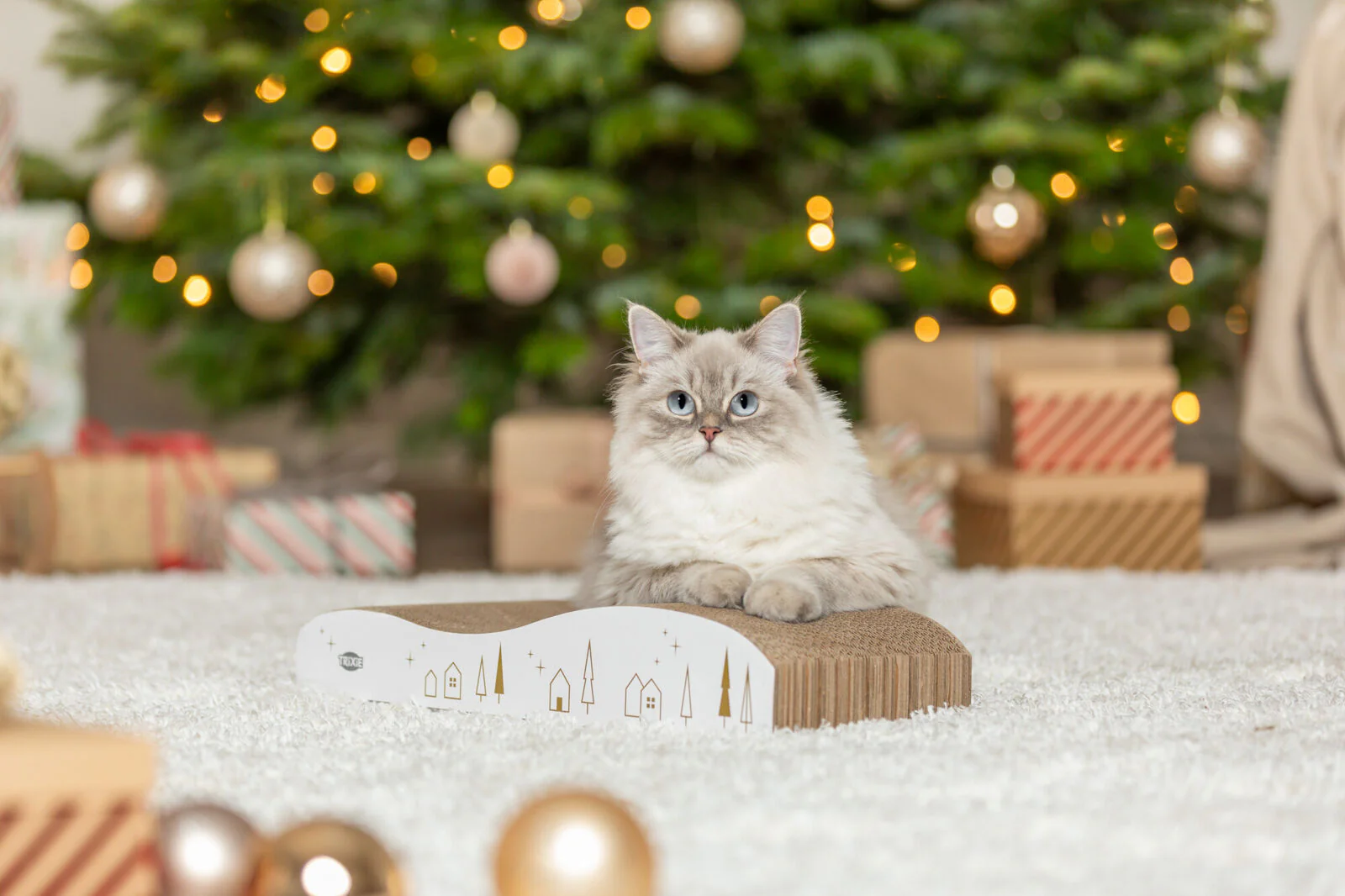 Kratzwelle Xmas - Image 3
