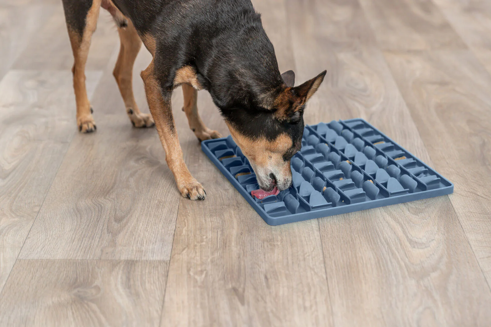 Lick’n'Snack Matte - Image 4
