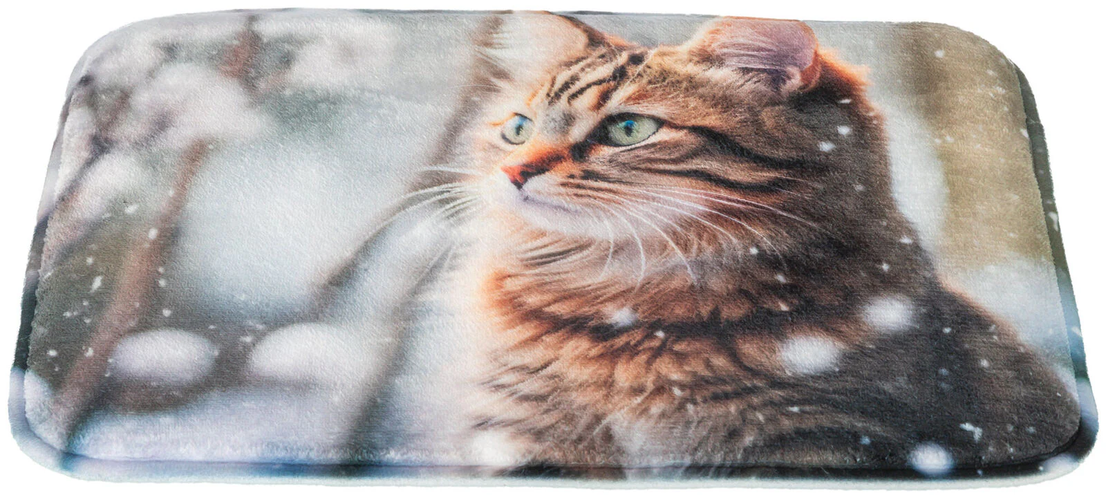 Liegematte Katze