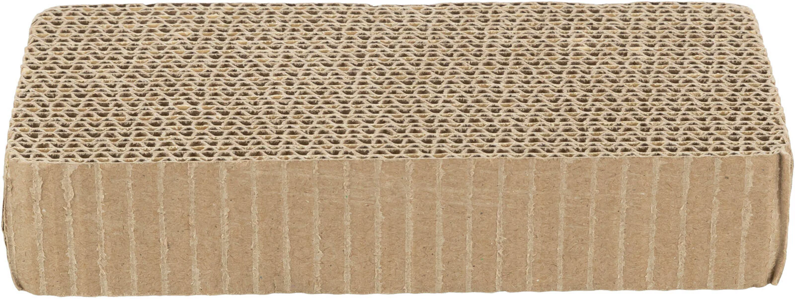 Plattform - Image 2