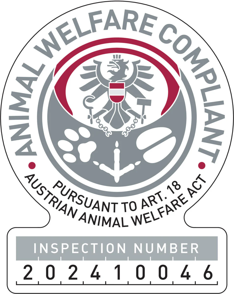 Pullover Norwood - Image 16