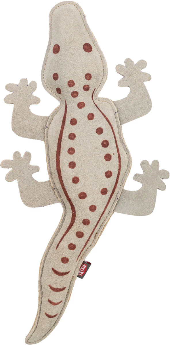 Salamander - Image 3