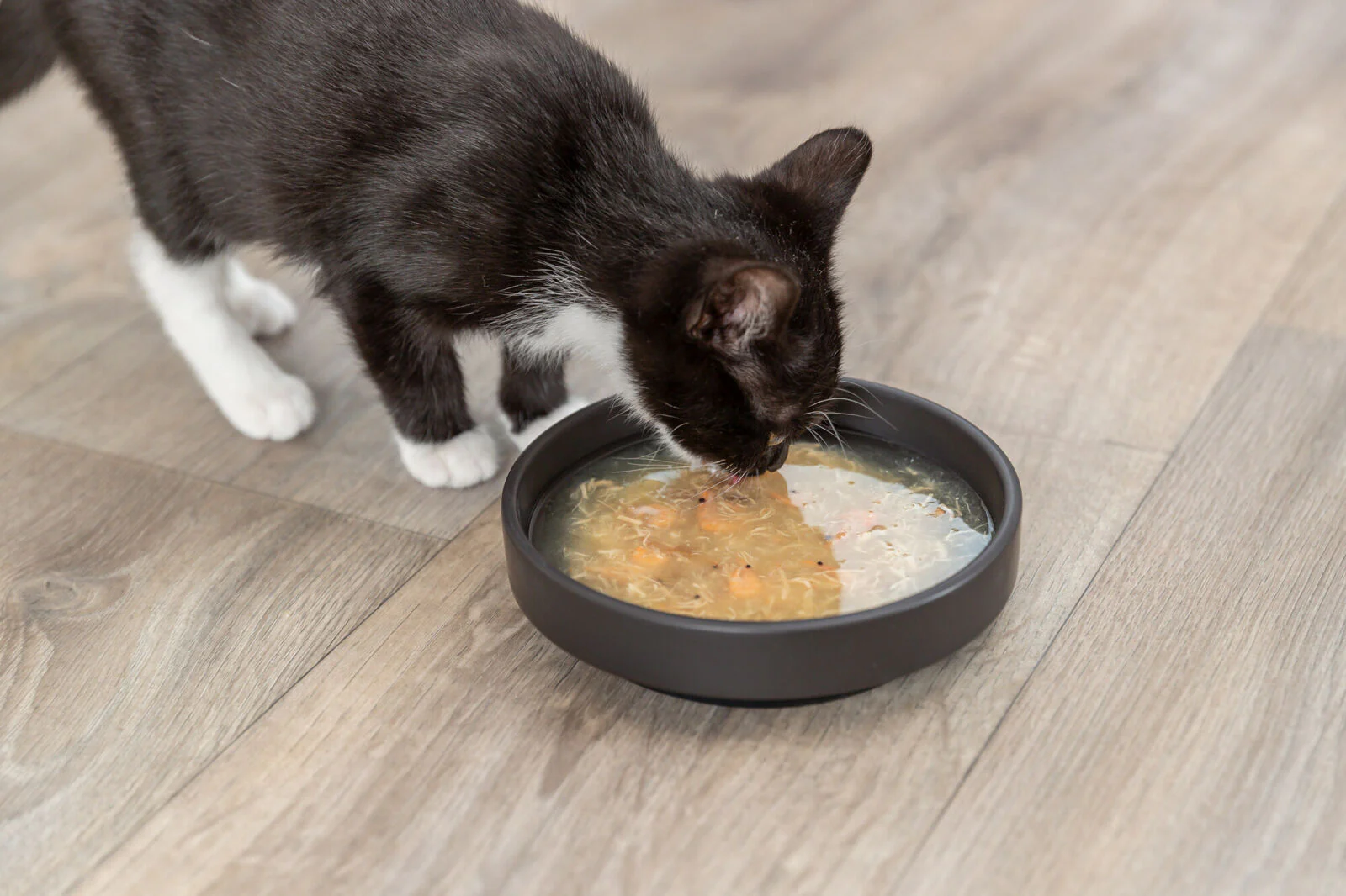 Salmon Soup - Image 2