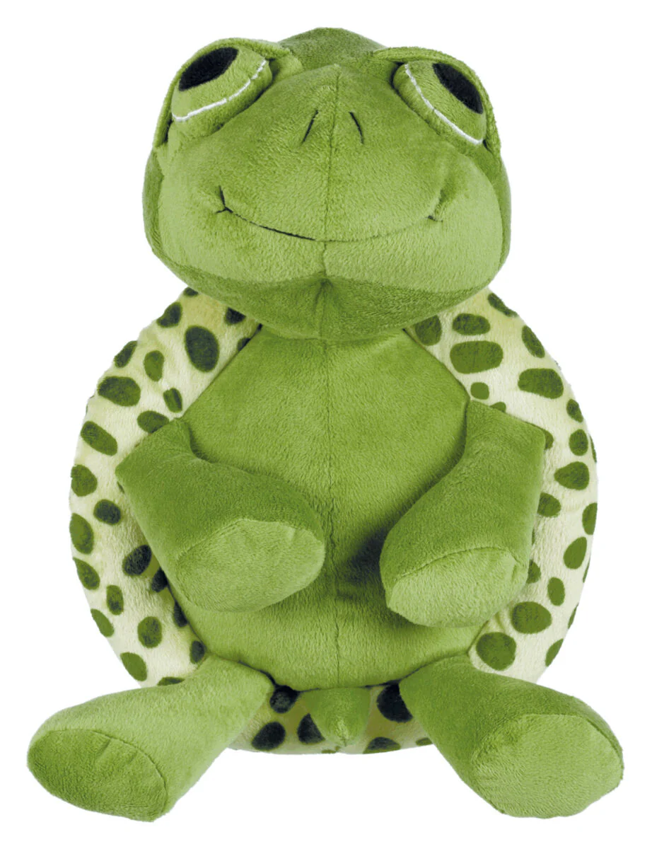 Schildkröte - Image 3