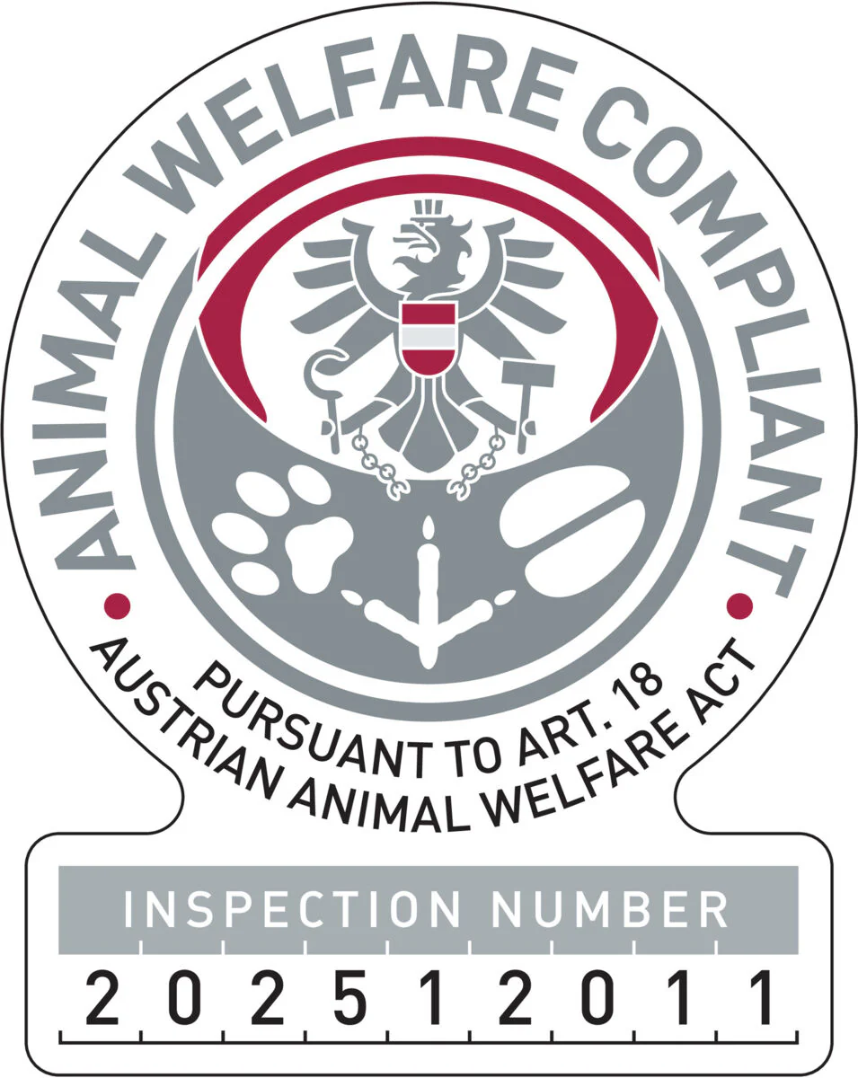 Schnüffelteppich - Image 3