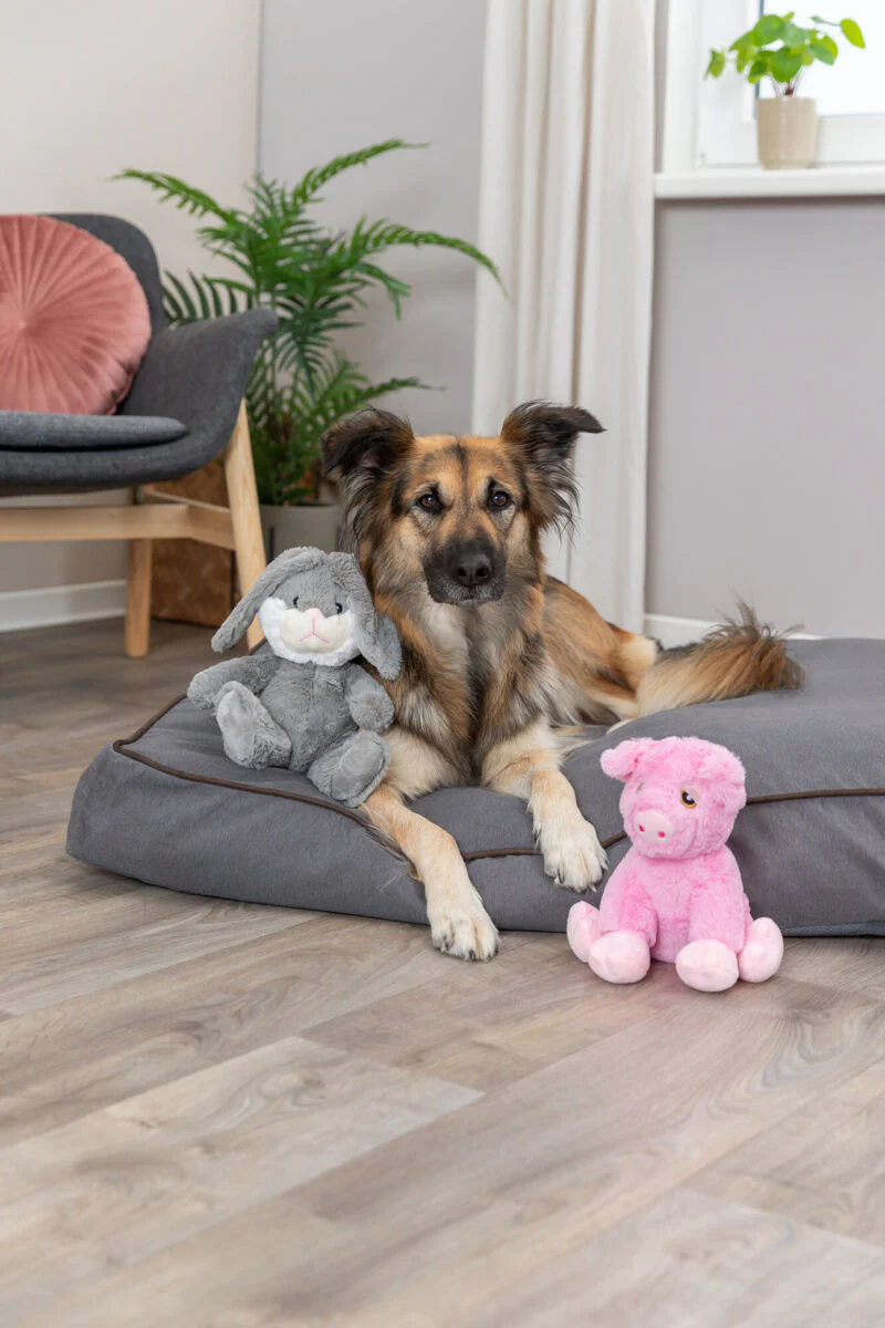 Schweinchen - Image 3