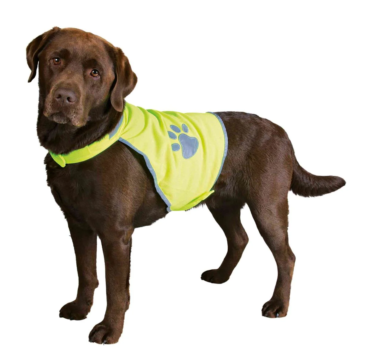 Sicherheitsweste für Hunde - Image 2