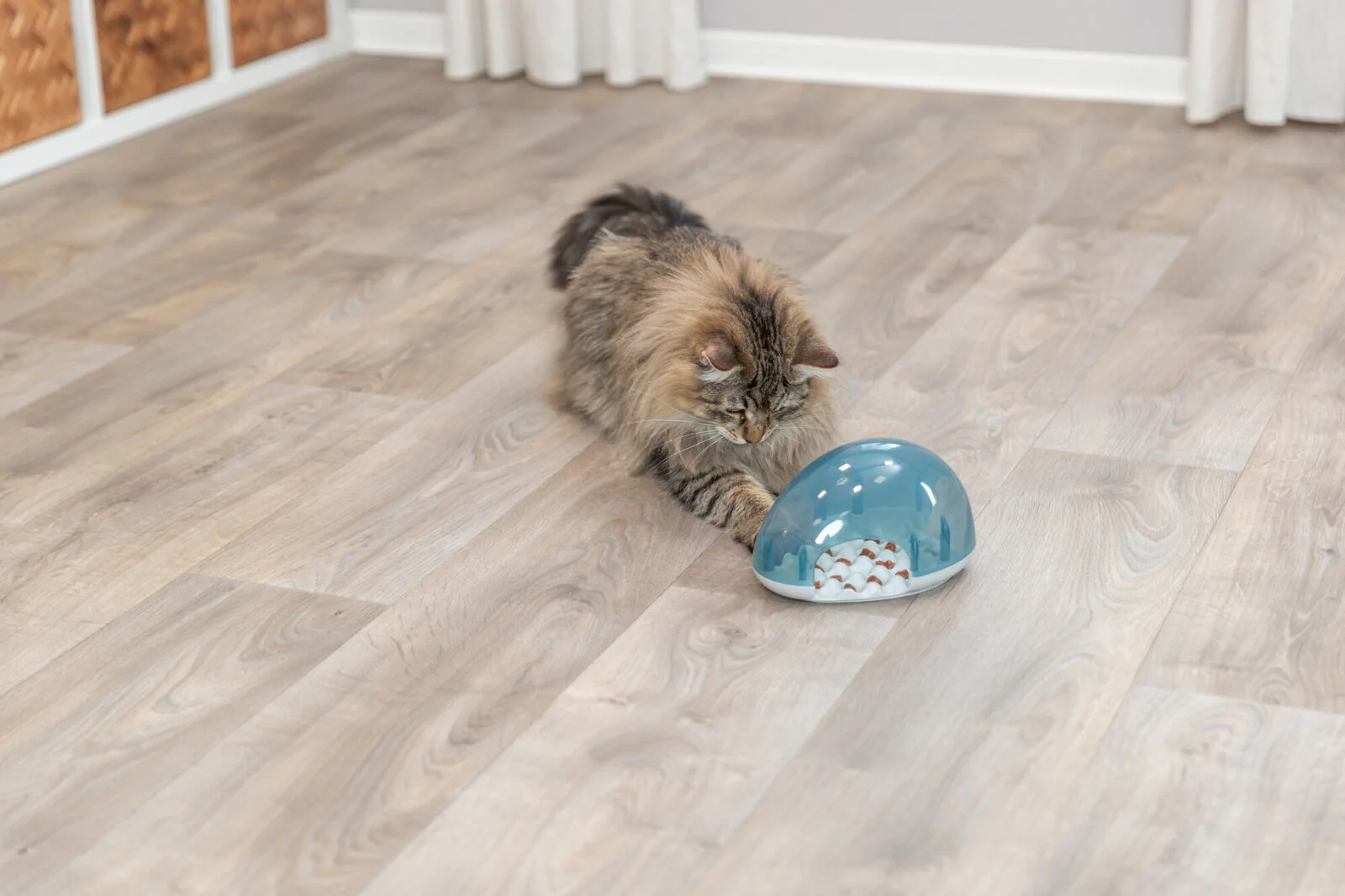Slow Feeding Dome - Image 3