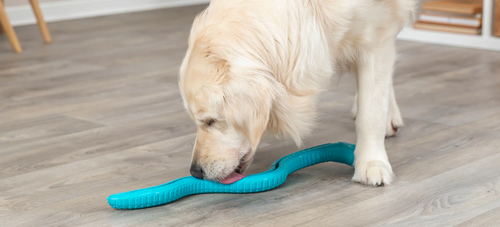 Snack-Snake - Image 12