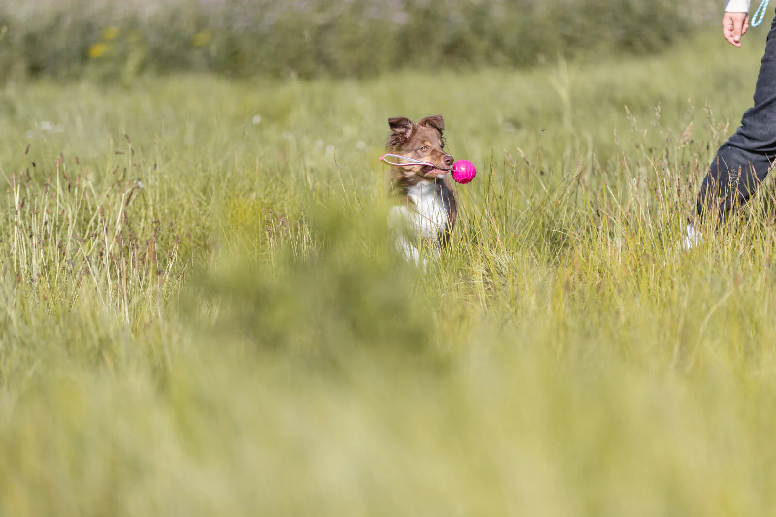 Soft & Strong Ball am Gurt - Image 3