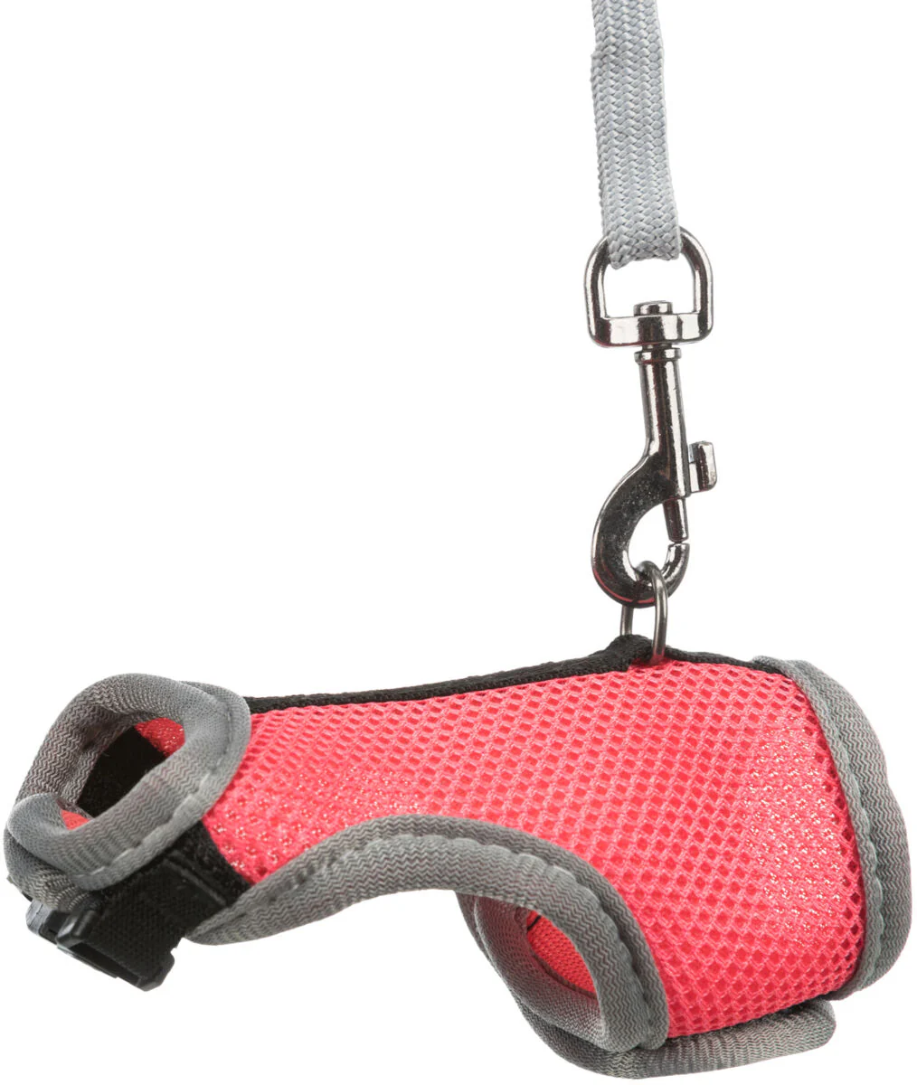 Softgeschirr mit Leine - Image 3