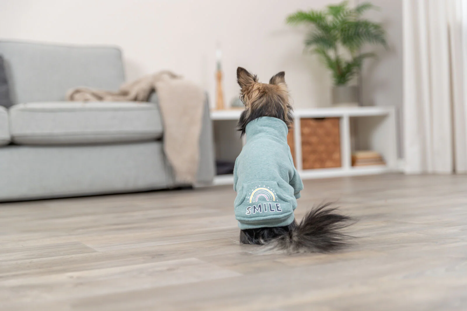 Sweatshirt Littleton - Image 13
