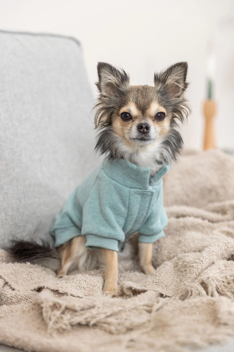 Sweatshirt Littleton - Image 15