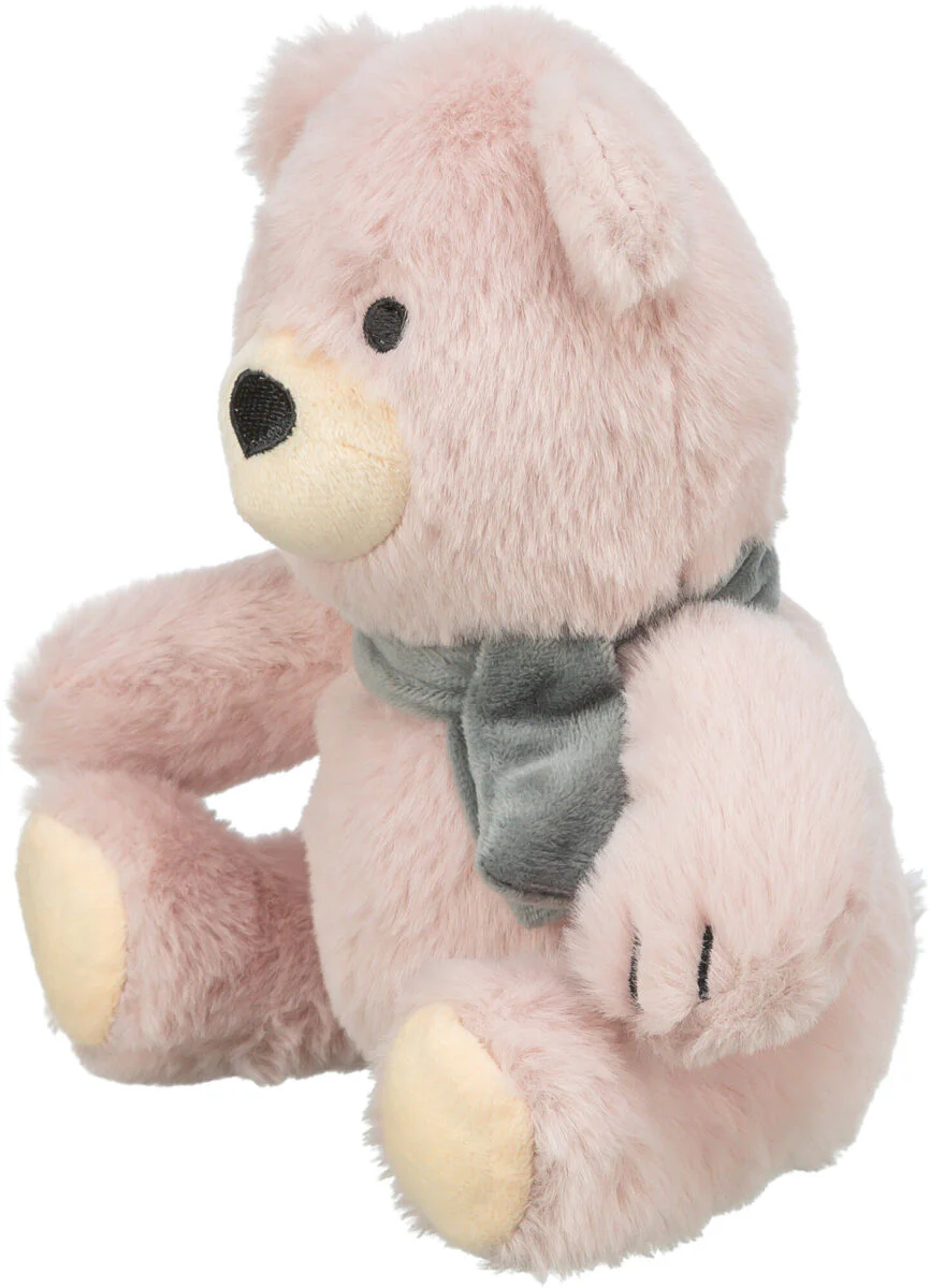 Teddy - Image 2