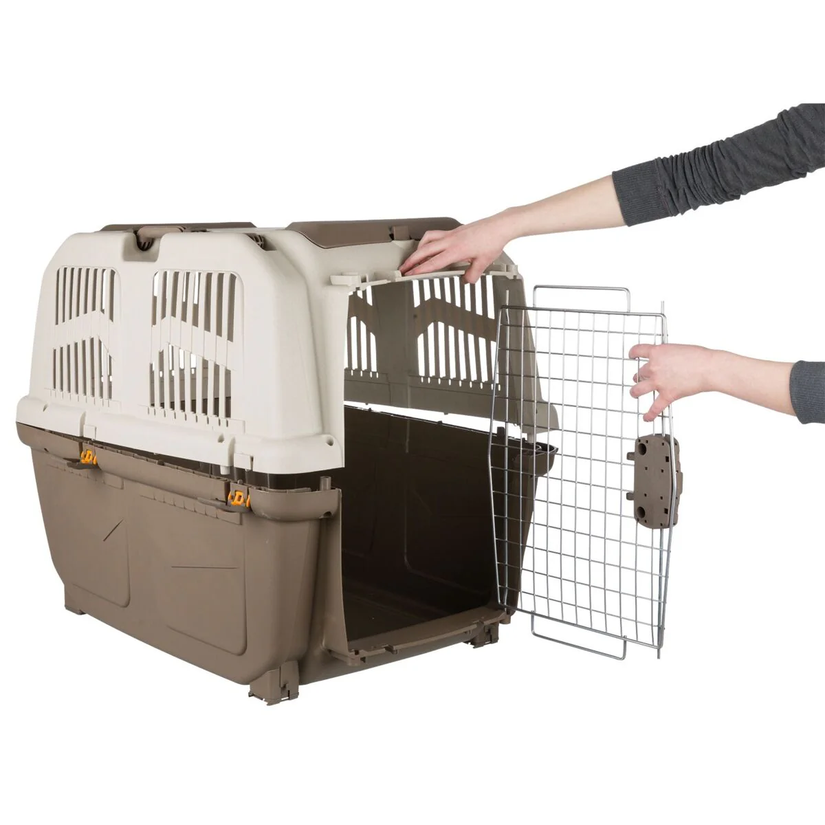 Transportbox Skudo - Image 20
