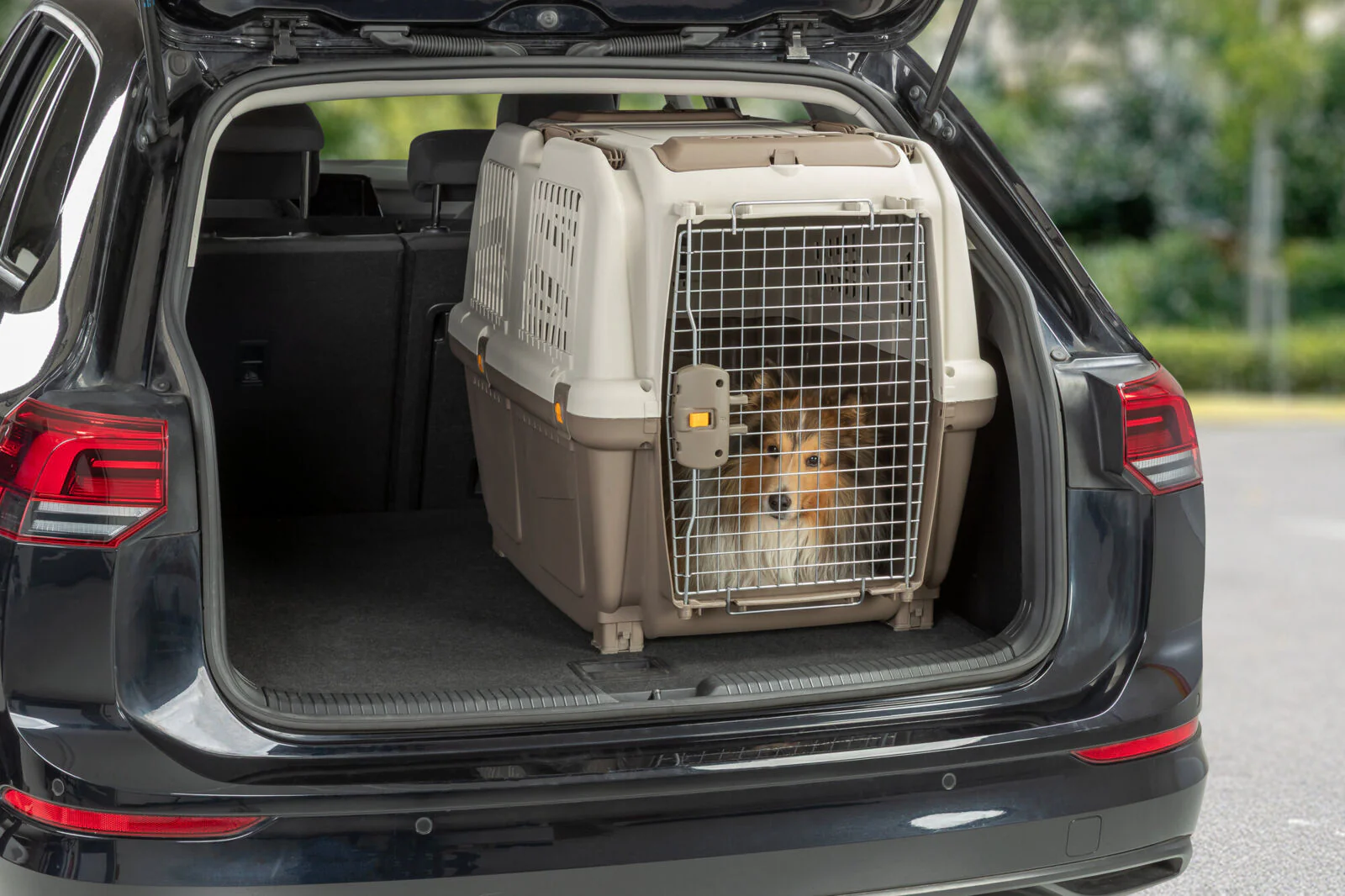 Transportbox Skudo - Image 8