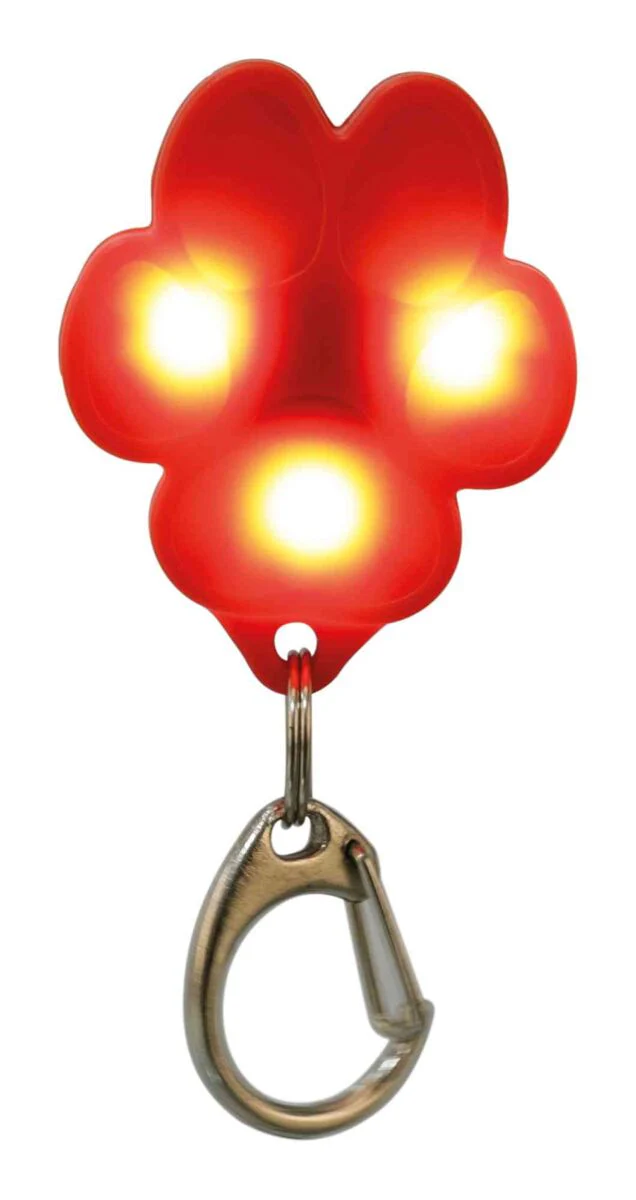 USB Flasher für Hunde