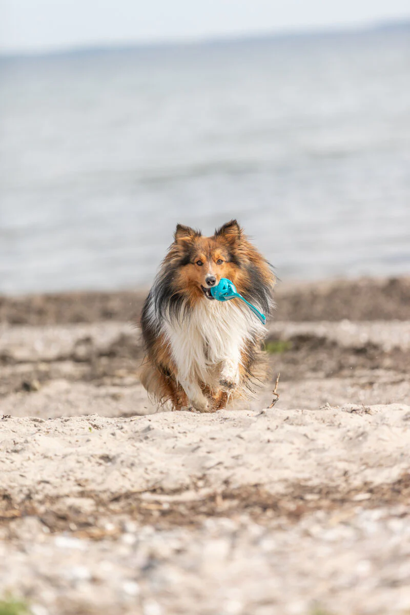 Wabenball am Seil, TPE - Image 3