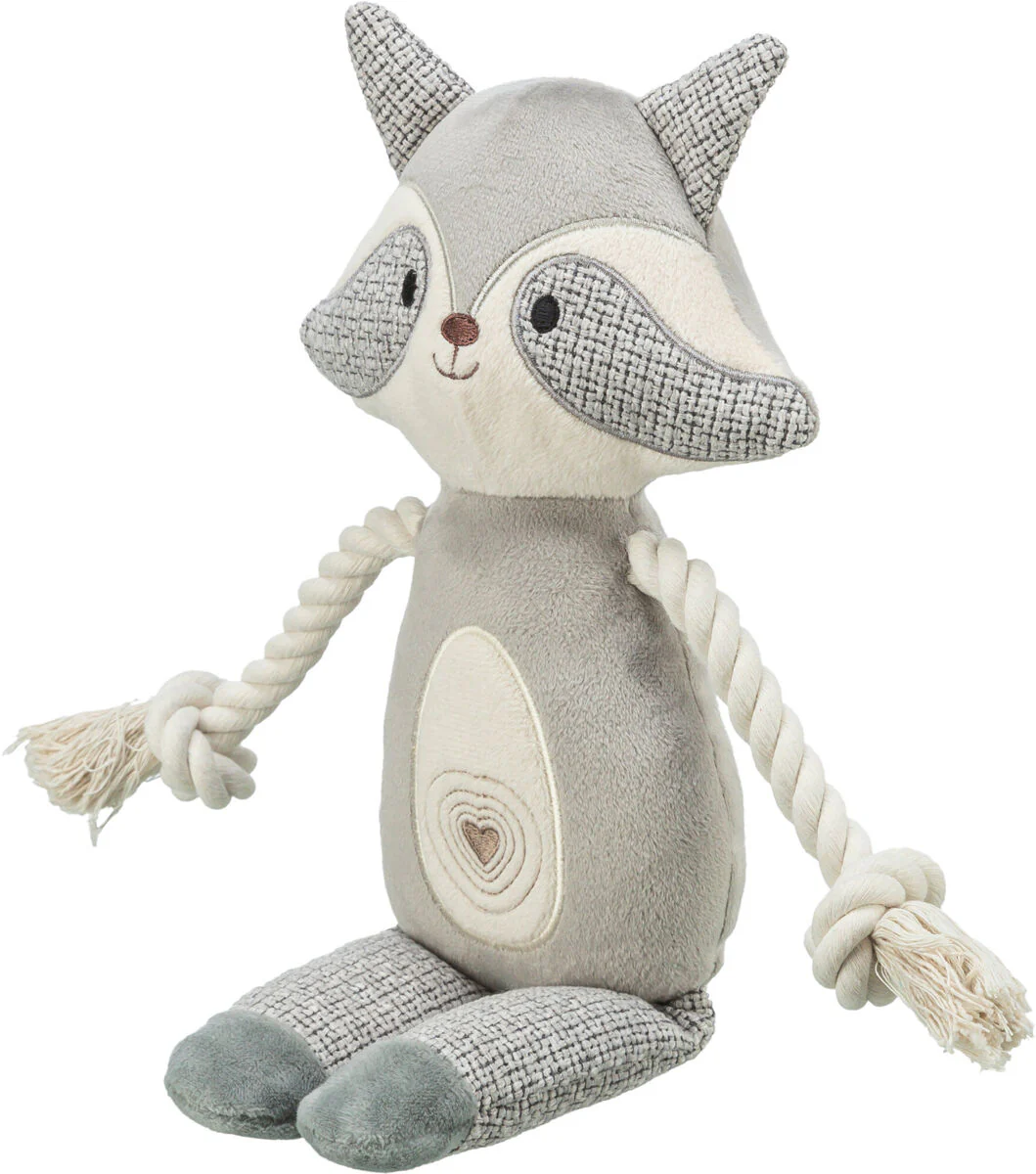 Waschbär - Image 3