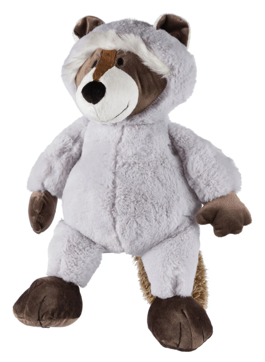 Waschbär für Hunde