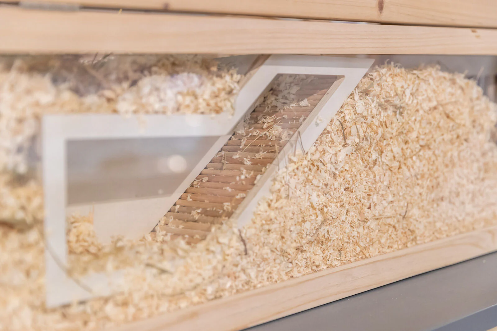Watchbox - Image 4