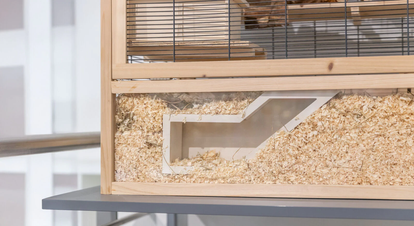 Watchbox - Image 5