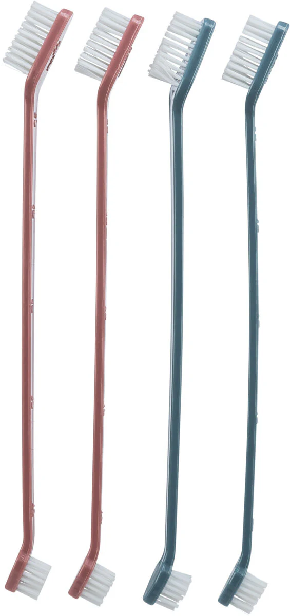 Zahnbürsten-Set