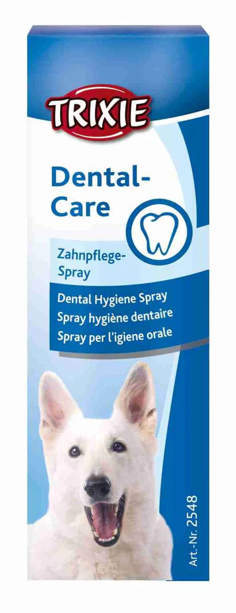 Zahnpflege-Spray